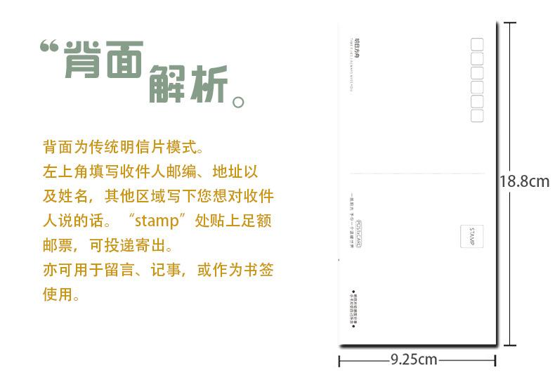 背面解析.jpg