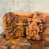 Estatuas Naturales de Madera de Trueno de la Montaña Longhu: Rey Lingguan Zhao Gongming, Zhong Kui, Emperador Wen Chang, Zhenwu Dadi, Emperatriz de Nueve Colas