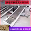 Secador de Lámina de Sustrato para Plántulas Tipo Banda Transportadora, Secador de Sustrato para Plántulas de Arroz, Equipo de Secado de Bloques de Sustrato para Plántulas