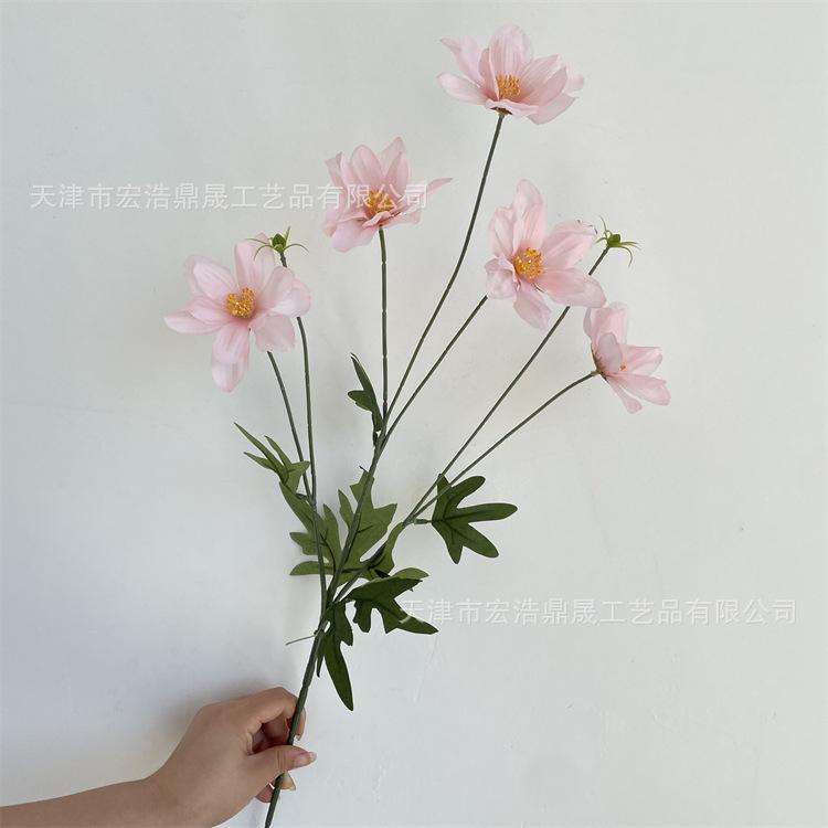 微信图片_202208311711011