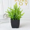 Amazon planta verde artificial para exteriores pequeña en maceta escritorio bonsái decoraciones para el hogar y la oficina accesorios para fotos plantas