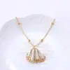 Collar Colgante de Concha de Caracol de Oro Laminado Natural Transfronterizo, Joyería Vintage de Playa Natural al por Mayor para Mujeres Ins