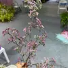 Ramo de Espuma de Lavanda Artificial de 7 Ramas para Boda y Decoración del Hogar, Follaje Artificial de Plástico para Proyectos, Flores Transfronterizas