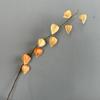 Linterna de palacio de simulación, fruta de alta calidad, linterna de niña, venta al por mayor, accesorios de fotografía florales para el hogar, linterna colgante de fruta