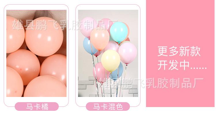 10寸马卡_06.jpg