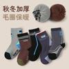 1774 calcetines gruesos para niños al por mayor otoño e invierno nuevos calcetines deportivos de felpa con letras de algodón cálidos para niños calcetines de moda