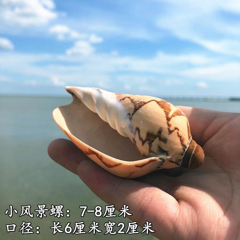QQ图片20190901111614.jpg