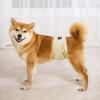 Ropa Interior Reemplazable para Perros Grandes, Pañales, Pantalones Sanitarios, Correa de Cortesía Anti-Acoso para Perros Macho Mascotas, Cinturón Menstrual