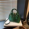 El Bolso Cruzado Popular de Este Año es de Moda Estilo Coreano Versátil Bolso de Mano Ins Nuevo Estilo 2025 Bolso Concha Estilo Extranjero