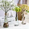 Jarrón de Cristal Cónico Transparente Hidropónico con Decoración de Cuerda de Cáñamo Decoración de Escritorio Hogar Jarrón Pequeño Flores Frescas Venta al por Mayor
