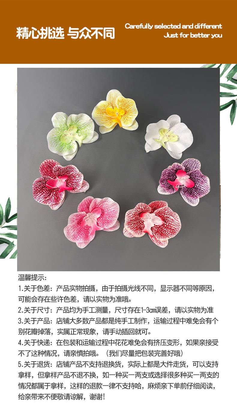 微信图片_20230620111916