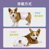 Pañales para Mascotas que Cambian de Color Dropshipping de One Piece Pañales para Perro Macho Venta al por Mayor Antifugas Laterales Pantalones Menstruales para Perra Suministros Antifugas