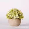 Simulação de vasos de plantas verdes que vendem bonsai de bola quente fabricantes de comércio eletrônico transfronteiriço atacado casa direta pequenos ornamentos