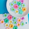 Flor de Huevo Facial Brillante Flor de Bauhinia de Cinco Pétalos DIY Hecho a Mano Gel de Crema Pasador Accesorios de Resina Funda para Teléfono Móvil Pegatina Tridimensional