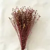 Fabricante Yongsheng Grãos de Acácia Absorventes de Cor, Grãos da Fortuna, Sementes de Gergelim, Materiais para DIY, Tampa de Vidro, Materiais para Atacado