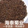 Semilla de Casia 500g Medicina y Alimento Homólogo Té de Semilla de Casia Cocida Semilla de Casia Frita Almohada de Playa Fábrica de Té de Hierbas Venta Directa