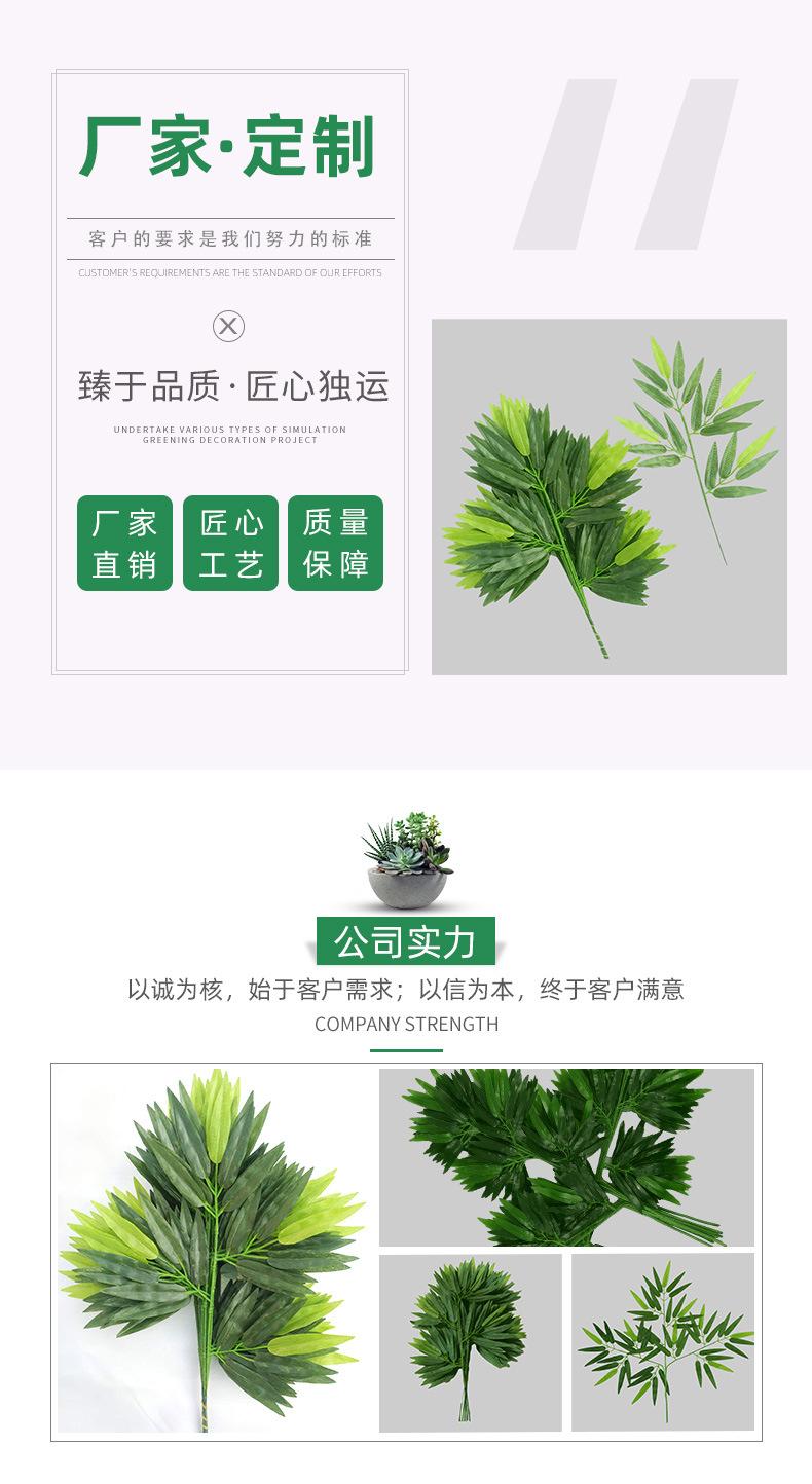 详情1.jpg