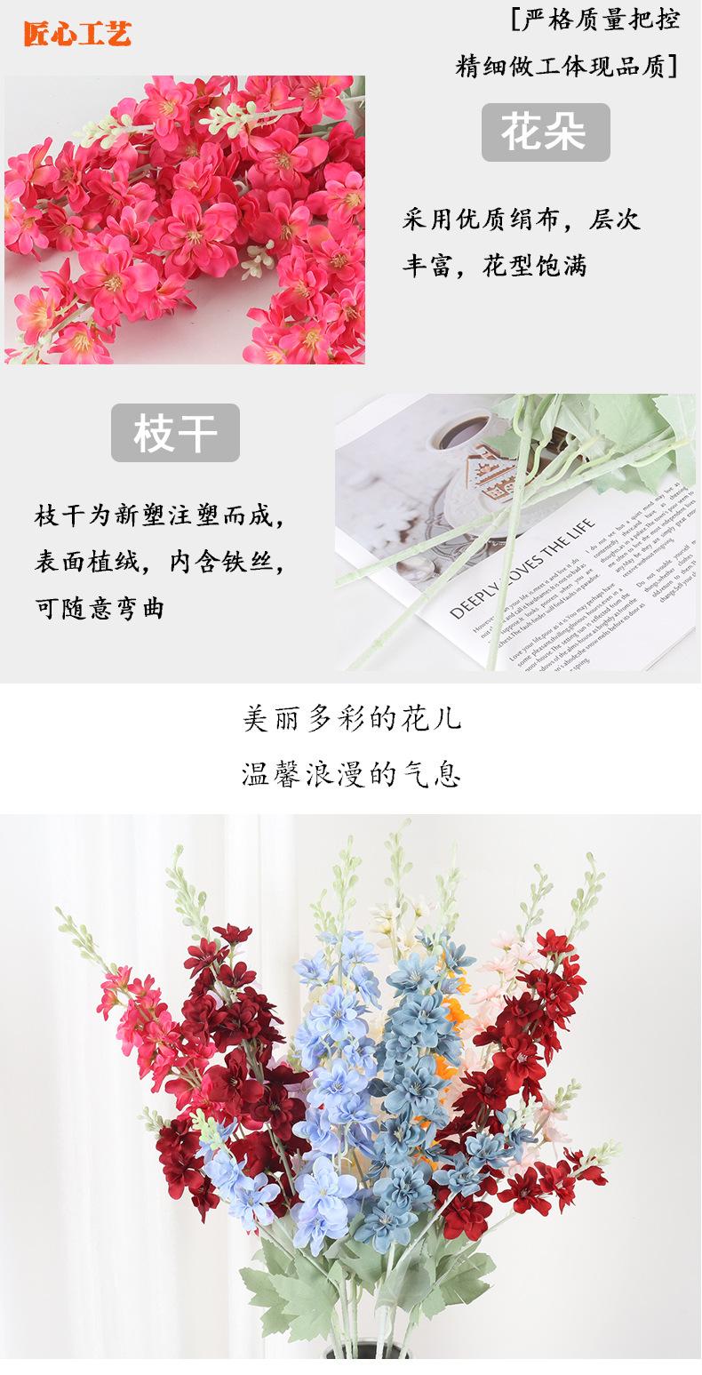 飞燕草_06.jpg