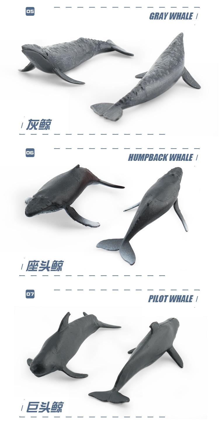 详情图片_098.jpg
