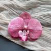 Cabeza de Flor de Phalaenopsis de Película Artificial Impresa en 3D Horquilla para el Cabello de Celebridad de Internet Souvenir de Boda Caja de Dulces de Boda Flores Falsas Decoradas a Mano