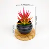 Simulación Nórdica Simple Creativa Mini Suculenta Planta en Maceta Pequeña Adornos Decoraciones para Escritorio de Hogar Oficina