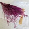 Fabricantes de origen de Yunnan al por mayor flores secas de hierba de amor eterno flor suave mobiliario para el hogar
