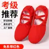 Zapatos de Baile al por Mayor para Adultos, de Suela Blanda, sin Cordones, Zapatos de Ballet, Zapatos de Punta de Tela Color Carne Profesionales para Exámenes
