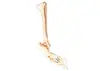 Osso do Pé, Modelo de Fíbula com Tíbia, Material de PVC, Modelo de Anatomia do Esqueleto Humano