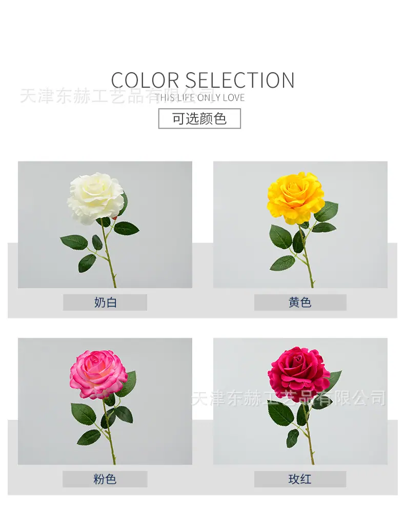 详情_02.jpg