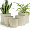 Vendas Diretas de Fábrica E-commerce Transfronteiriço Novo Produto Popular Linha Haiwei Estilo Balcão Jardim Conjunto de Vasos de Flores de Plástico Imitação Cerâmica
