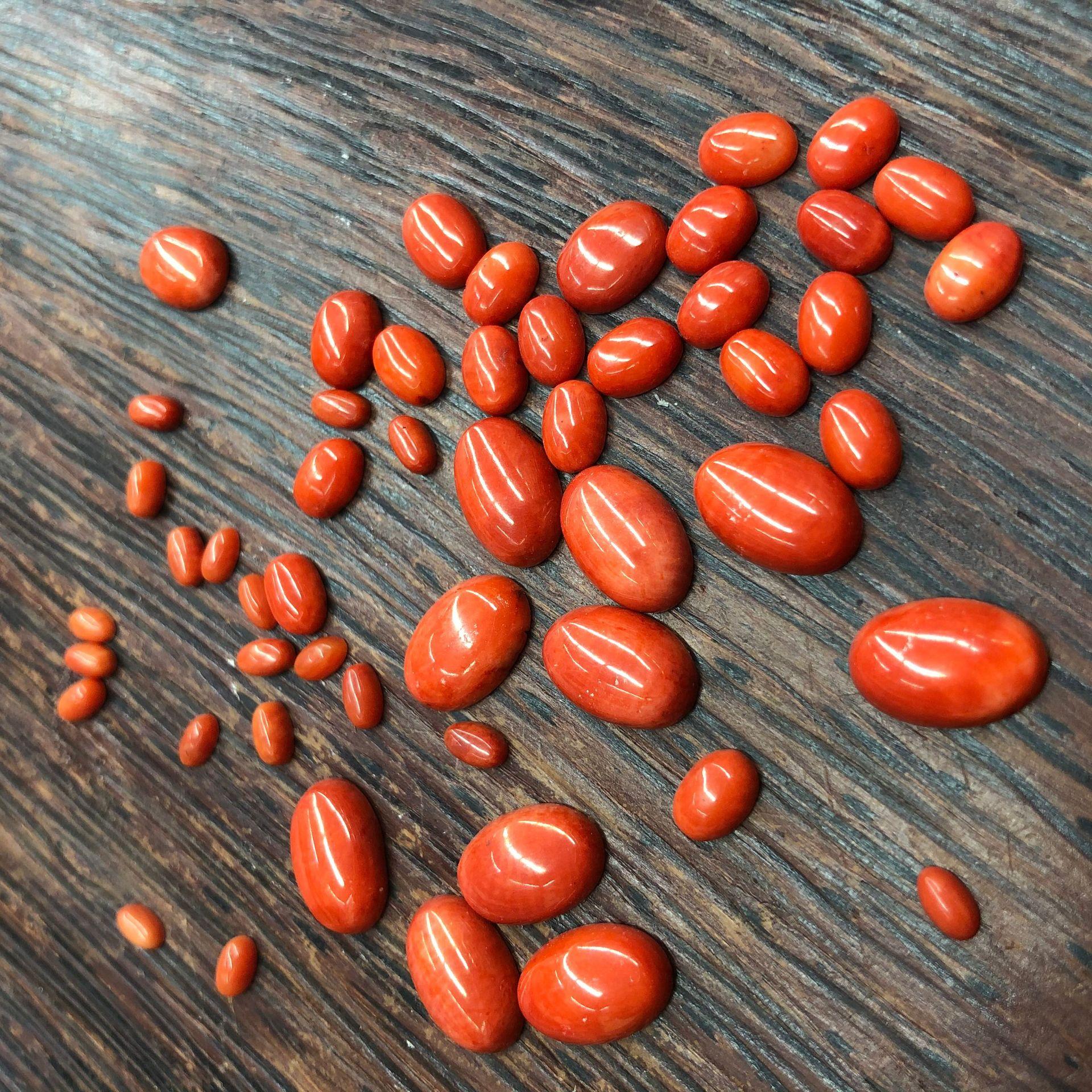 8E12A07E541B81B551FA5C7F296505