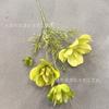 4 Gesang Flor Cosmos Crisantemo Pequeño Jardín Fresco Flor Silvestre Fondo Pared Flor Decorativa Material Hoja Material Flor Falsa