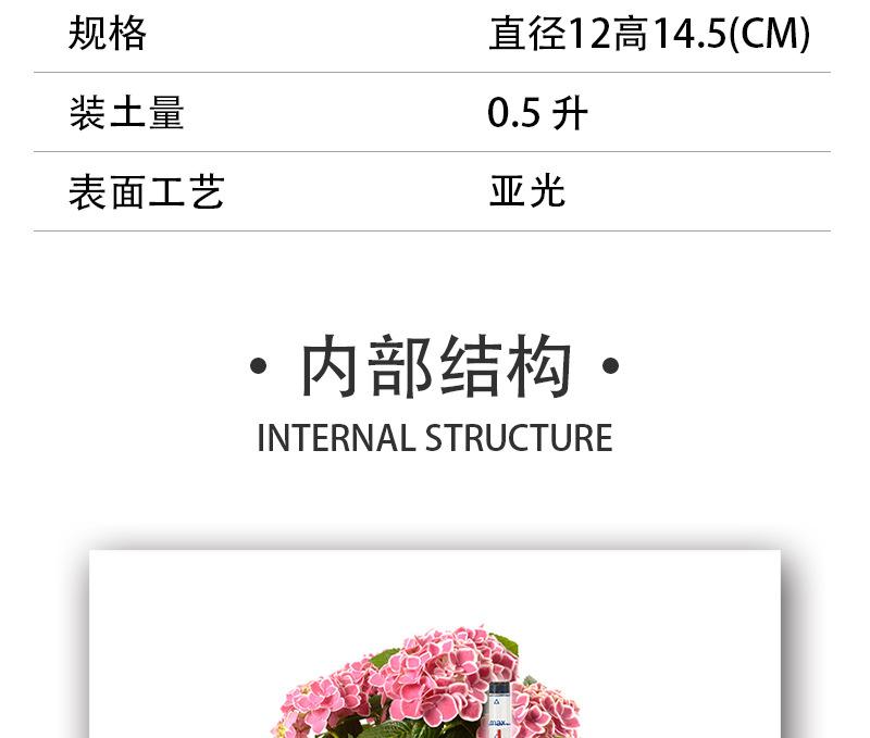多肉花盆