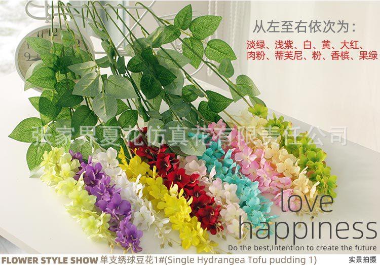 单支绣球豆花（2组叶）_13.jpg
