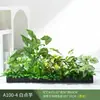 Paisagismo com Plantas Verdes Simulação Floreira Divisória de Piso Arte Floral de Chão Paisagem de Plantas Combinação de Floreira Flor Artificial em Vaso Bonsai Decoração