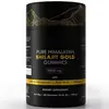 Venda Cruzada Best-Seller Alpha Gummies Tubo Verde Shilajit Gummies Personalização da Marca