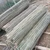 Postes de Bambú al por Mayor Celosía para Huerto de Verduras Poste de Bandera Exterior de Bambú Valla Bastidor de Poste de Bambú para Pepinos Frijoles Verduras Trepadoras