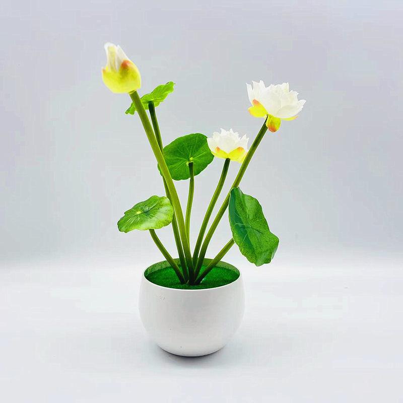 微信图片_20220626083736_副本