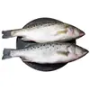 Robalo Inteiro Congelado Fresco Peixe de Águas Profundas Banana Branca Robalo Sete Estrelas Peixe para Grelhar Aquático Atacado Comercial Entrega