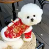 Roupas de Ano Novo para Pets Borboleta Estéreo Roupa de Tração para Cachorro Roupas de Saudações de Ano Novo Festivas Urso Panda Gato Roupas de Outono e Inverno