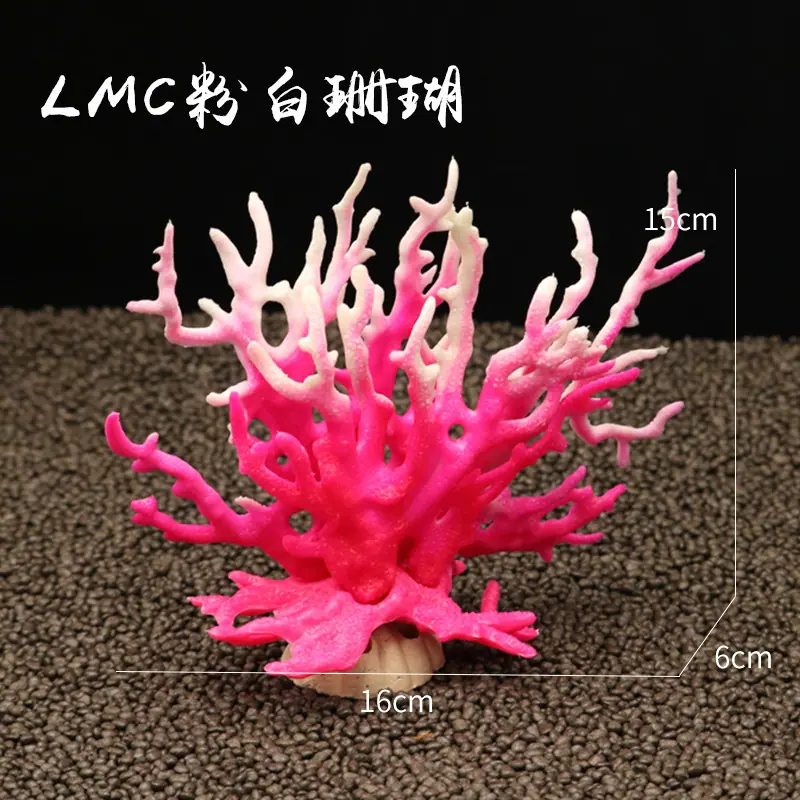 LMC粉白珊瑚尺寸