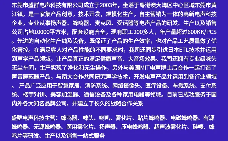 盛群电声-详情_03.jpg