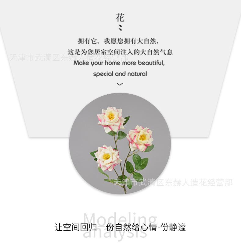 详情_06.png