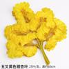 Hojas decorativas de ginkgo artificial hojas falsas ramas de plástico flor de seda hojas de Banyan hojas de ginkgo blancas verdes amarillas