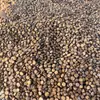 Materias Primas para Tallar Frijoles de la Paz, Frijoles Luohan y Cuentas Budistas/Cuentas de Rezo Hechas a Mano