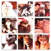 Cartões de Animal de Estimação Personalizados Cartas de Baralho Periféricas Comemorativas Álbum de Fotos de Gato Animal Macio Fofo Cartões de Gato Personalizados
