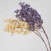 Simulação de Galho Único Fruta Auspiciosa Pequeno Azevinho Flor Decorativa Material Decoração de Casa Hotel Simples Venda Quente Transfronteiriça Atacado