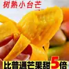 Manga Xiaotainong de Hainan 5kg Manga Xiaotainong Colhida na Hora Fruta Tropical da Estação Especialidade Manga Frete Grátis