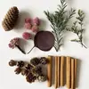 Kit de artesanato DIY de pinha de Natal, canela e rodelas de limão para criar uma atmosfera natalina com decorações de frutas secas