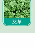 日用香精系列明细_33.jpg